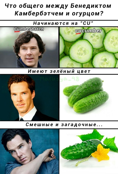 Кто такой виктор корнеплод и почему он так популярен - cq