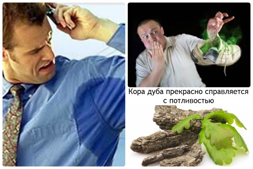 Куравчить и золотые гайки - что эти выражения означают и как они влияют на нашу жизнь - povoprosyguru.ru