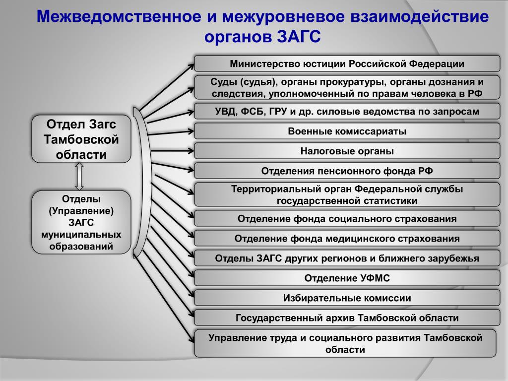 Что значит специализированный отдел загса