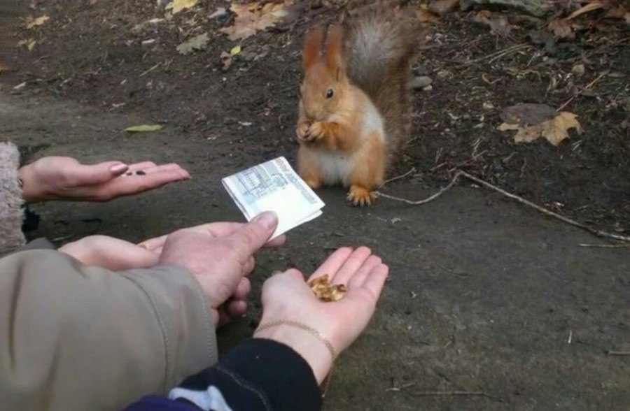 Белочка