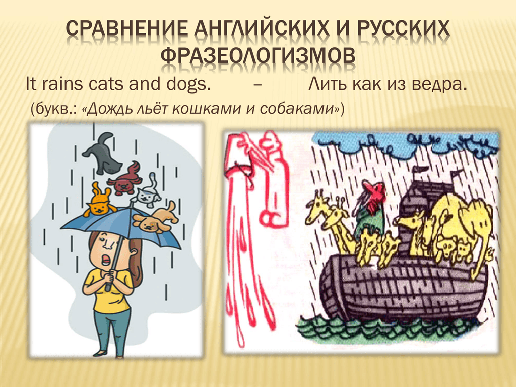 Фразеология - это... в русском языке. что изучает фразеология?