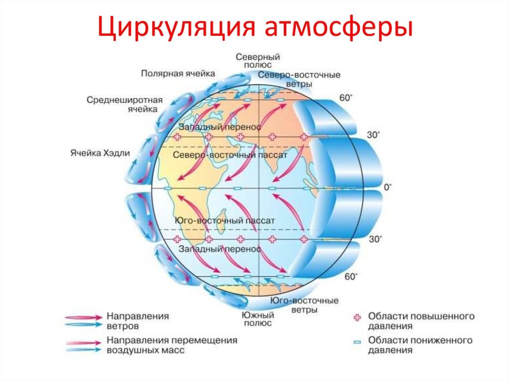 Ветер. откуда он появляется и как определить направление ветра