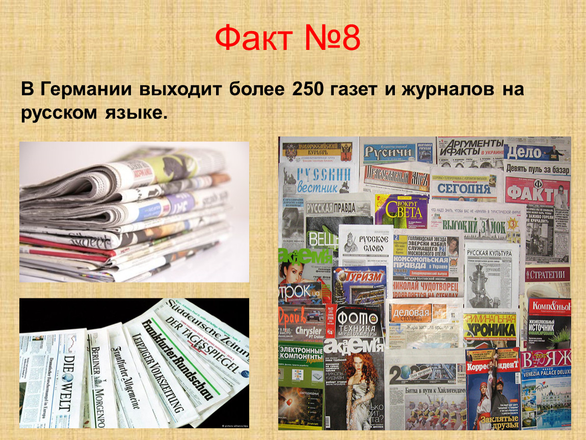 Интересные факты о немецком языке: непереводимые слова, особенности грамматических конструкций - studyinfocus
