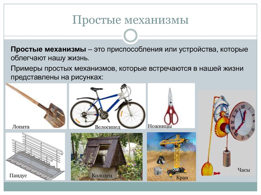Что означает выражение: метнуться кабанчиком