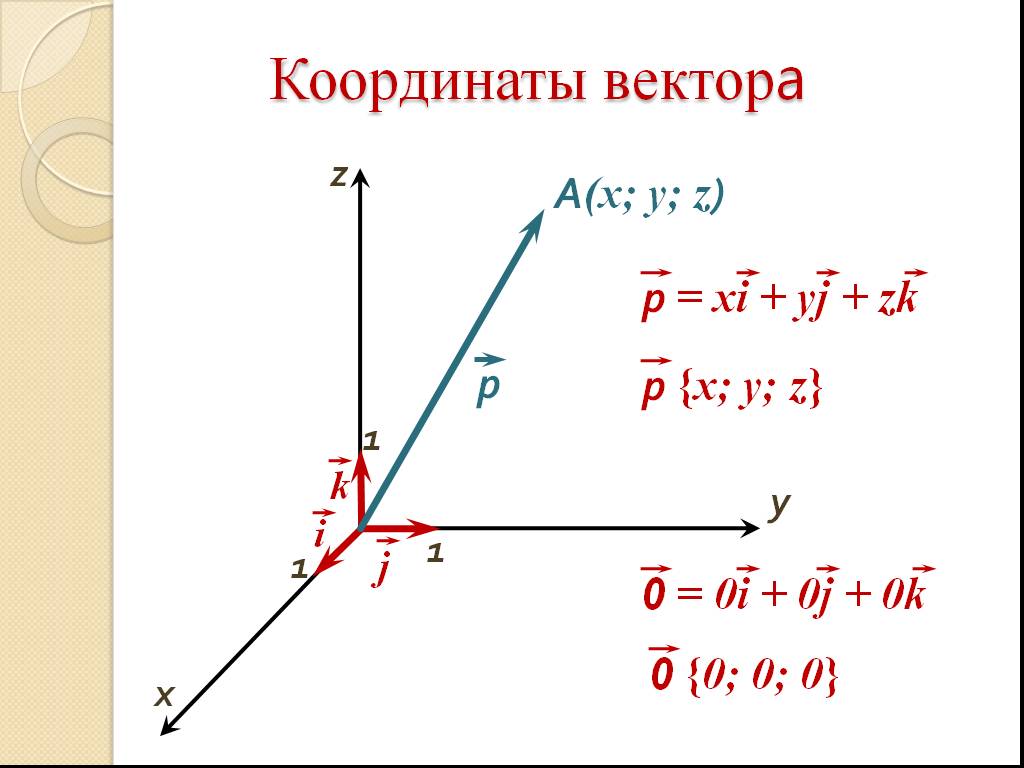 Все о векторах otus