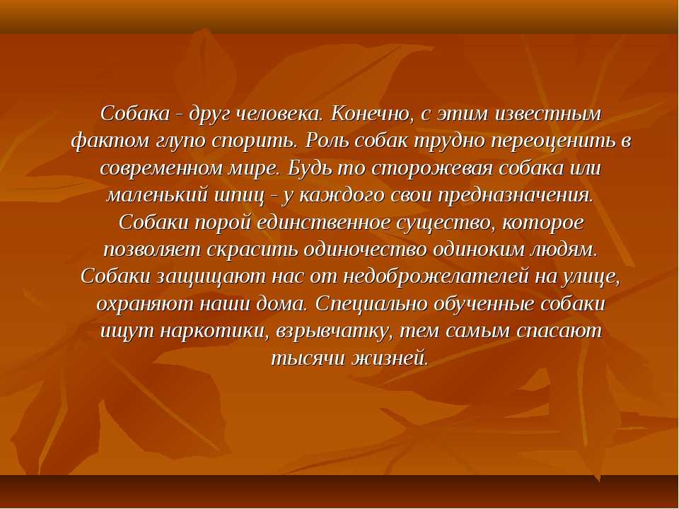 «собака друг человека»: 8 сочинений 2024 года
