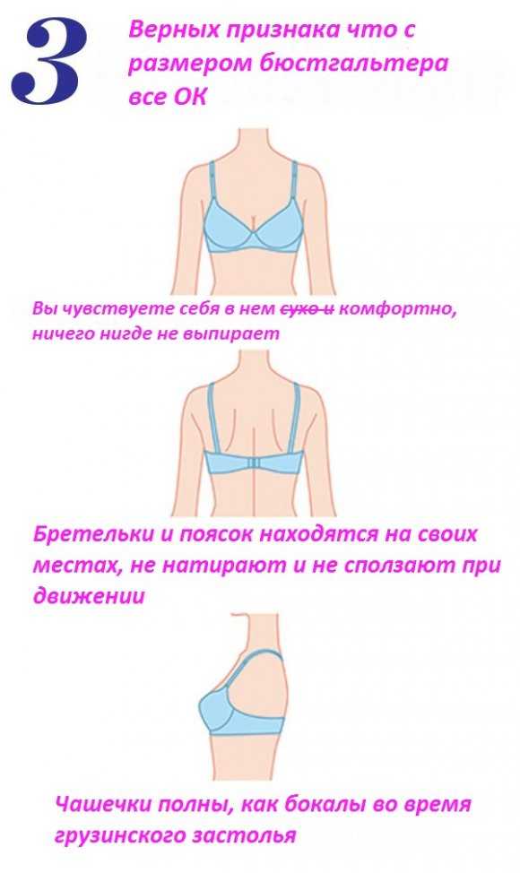 Расчёт размера бюстгальтера: хитрости и cекреты