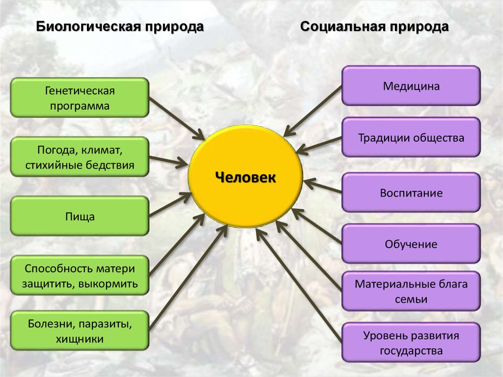 Виртуальный класс школы №185 по обществознанию/первый урок, часть первая, 10 класс