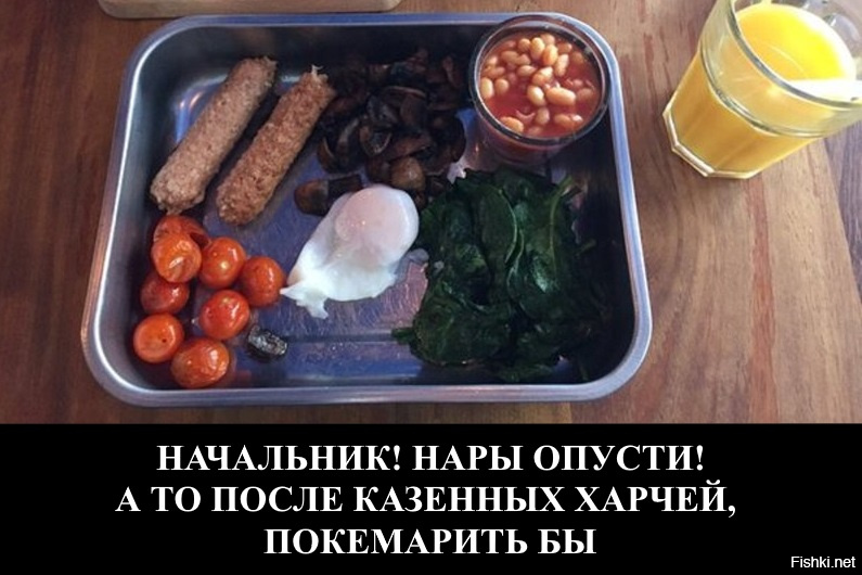 Пословицы и поговорки о языке и речи для детей дошкольного и школьного возраста, школы, доу: сборник лучших пословиц с объяснением смысла. какие есть и как найти пословицы и поговорки, которые учат де
