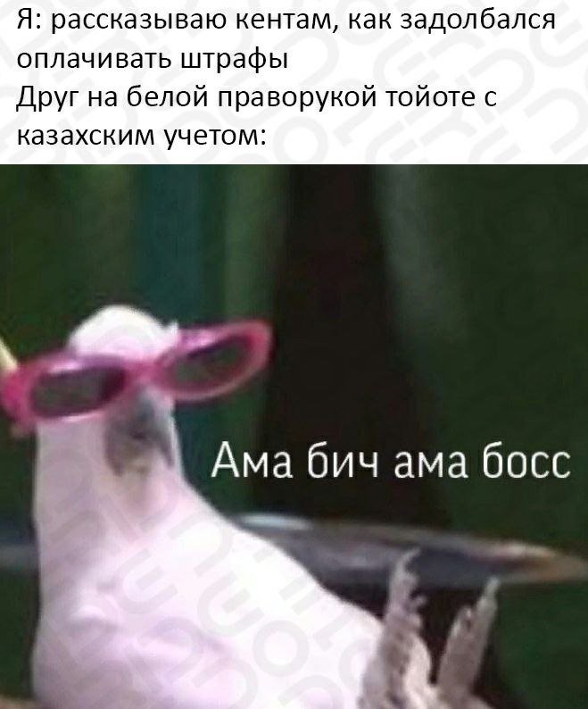 Кто грустит тот трансвестит – что это значит