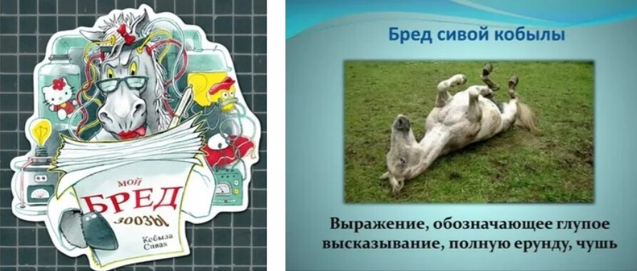 Значение и происхождение фразы "красивая как корова сивая"