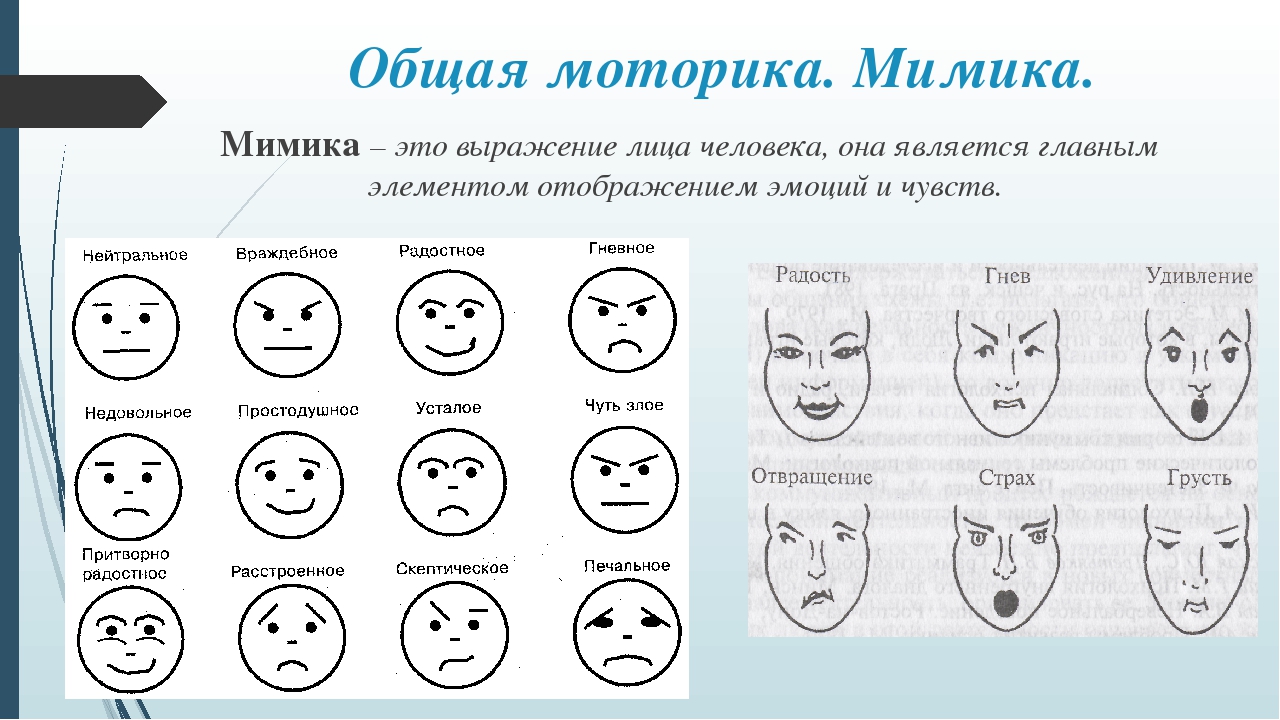 Что такое надменность простыми словами, примеры надменности