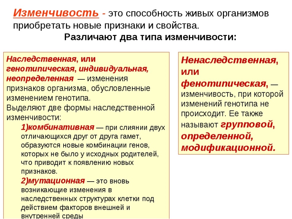 Что значит коррелятивная изменчивость