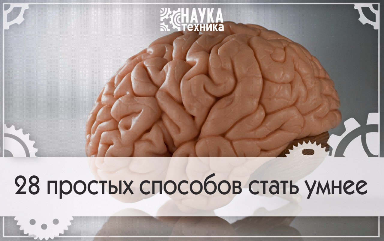 Как стать умной девушкой: 10 рекомендаций