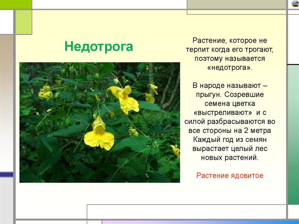 Как строить из себя недотрогу - wikihow
