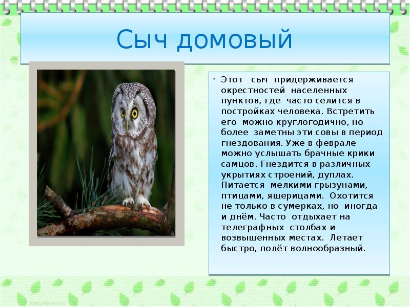 Сидит, как сыч; как курица на яйцах.