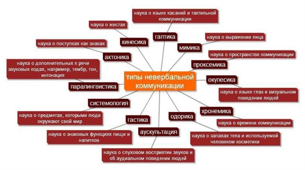 Виды невербальных жестов в психологии общения и их интерпретация