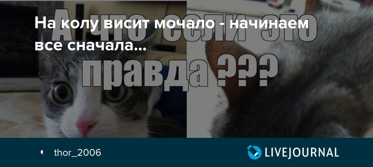Как пишется мыло мочало начинай сначала - как пишется то или иное слово или словосочетание