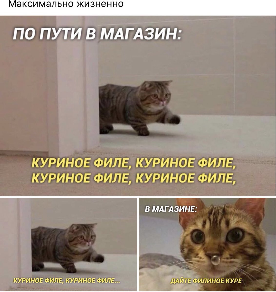 Что значит выражение «метнулся кабанчиком» и как его использовать?