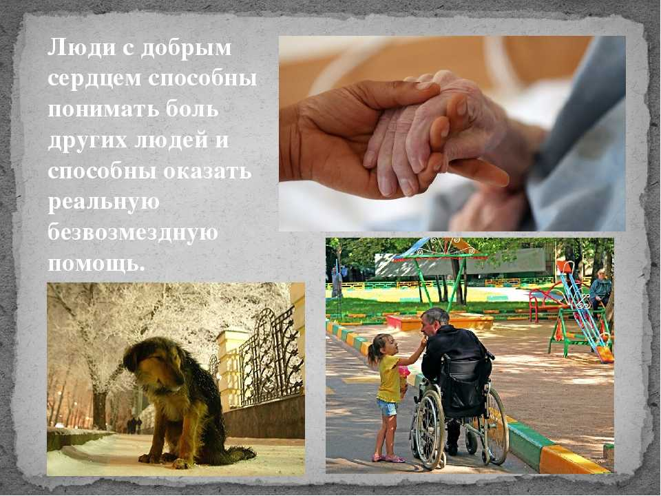 «что такое отзывчивость?»: 8 сочинений для огэ 9.3 2024 года
