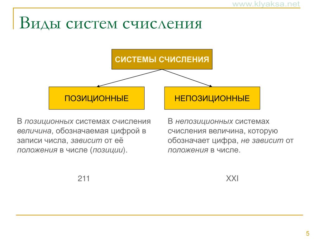 Системы счисления в информатике: виды, примеры, характеристики. что такое системы счисления - uhistory.ru