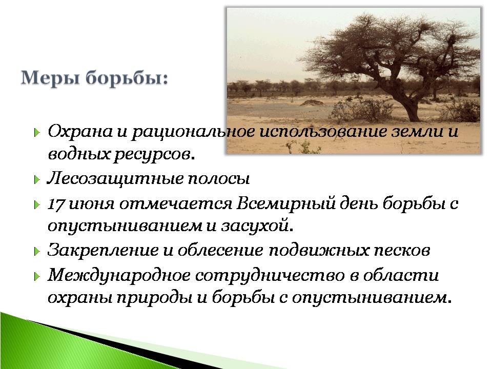 Сухие и влажные тропики