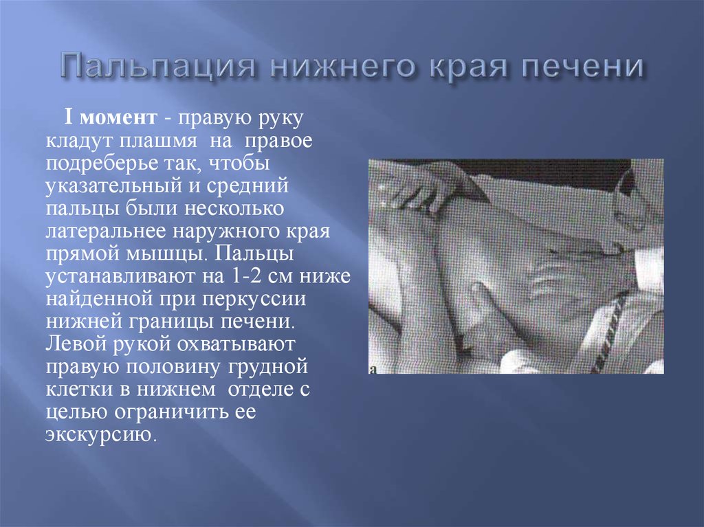 Загадки русского языка: смысл и происхождение необычных слов и выражений