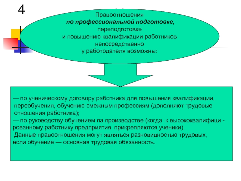 Категории, разряды, уровни квалификации – в чем разница?