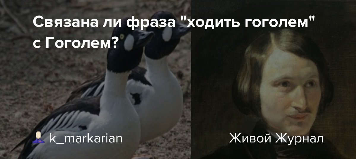 Чужая голова потемки: что это значит и как понять