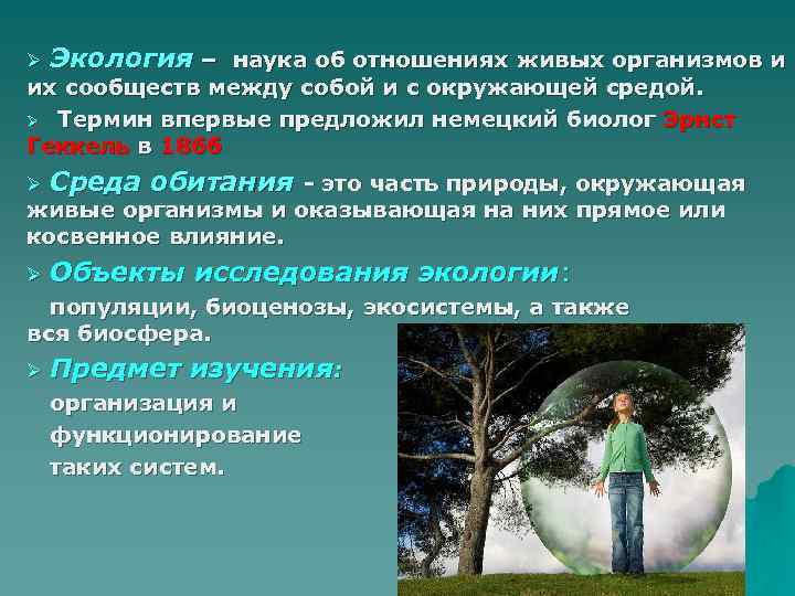 Сочинение какое значение для людей имеет экология