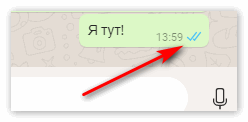Что означают галочки в whatsapp