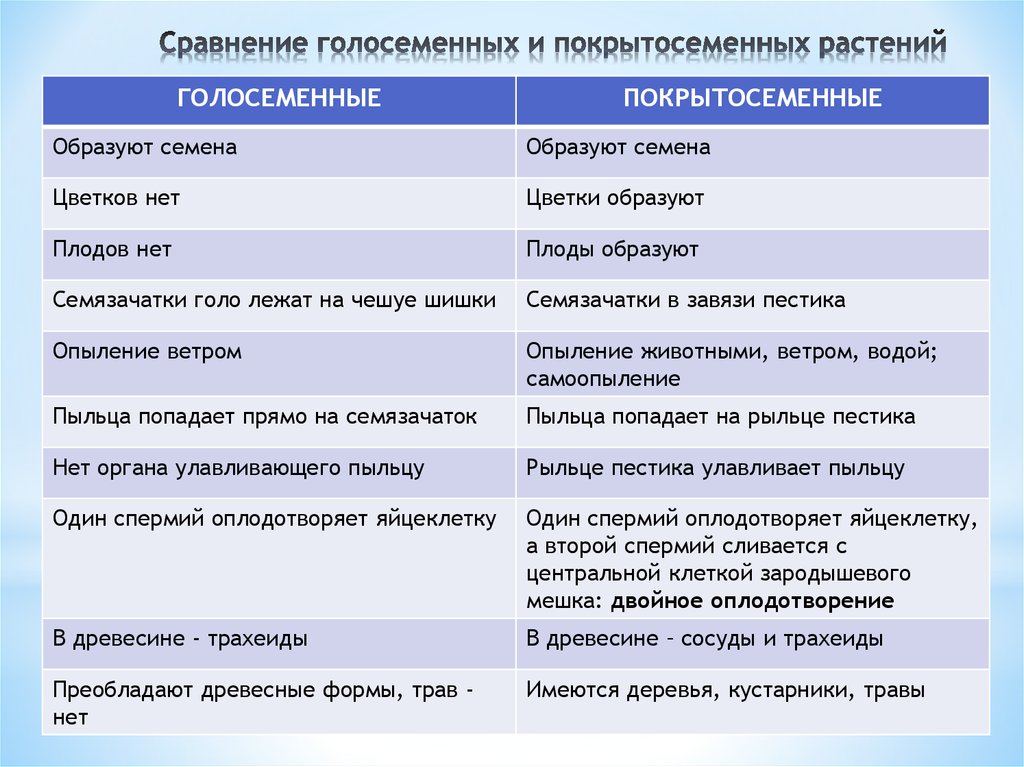 Что такое рабочее время по трудовому кодексу
