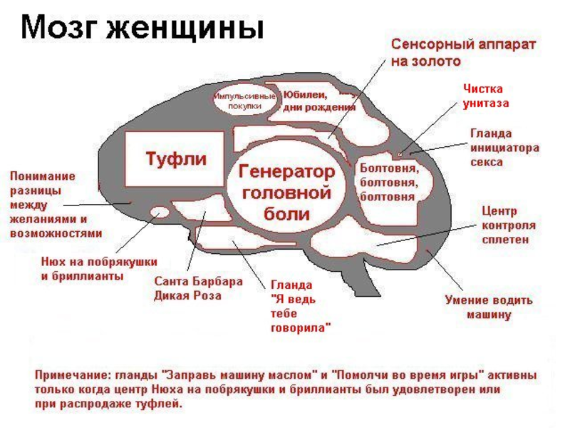 Выносить мозг что это значит. что обозначает выражение выносить мозг, например: ты мне выносишь мозг?