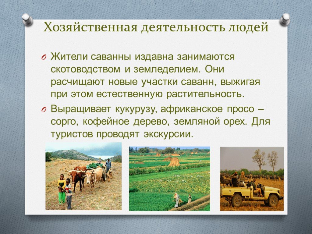 Виды и формы хозяйственной деятельности, ее организация