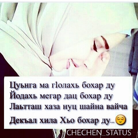 Что такое нохчи на чеченском