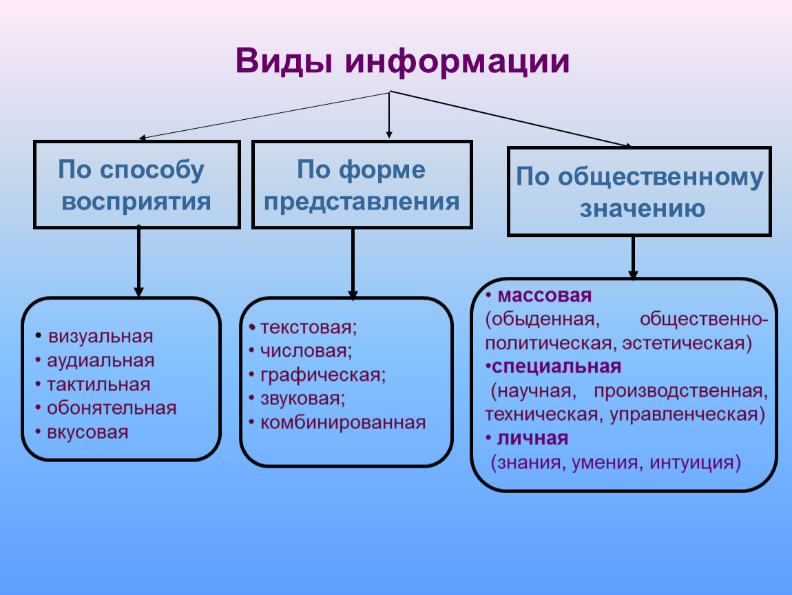 Информационный характер поисково-познавательной деятельности в уголовном судопроизводстве - криминалистика (савельева м.в., 2009)