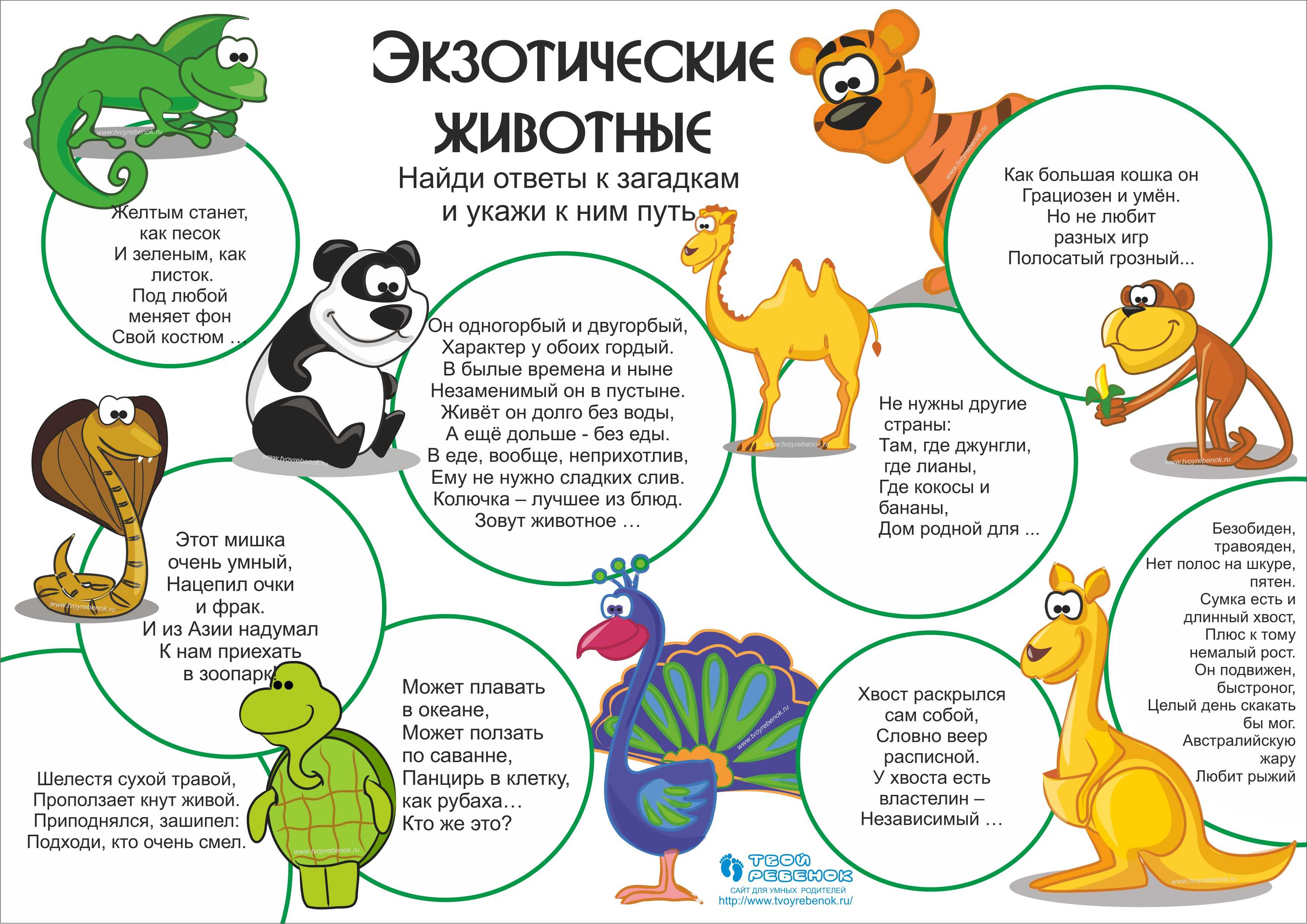 Как облупленного, а знаете ли?