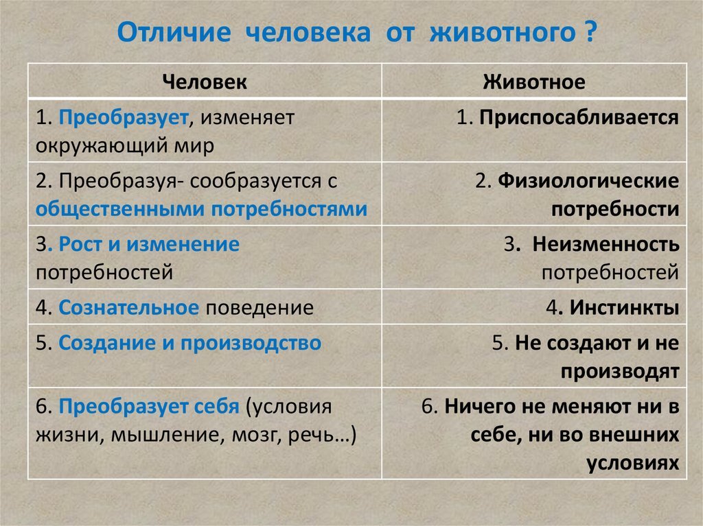Человек это