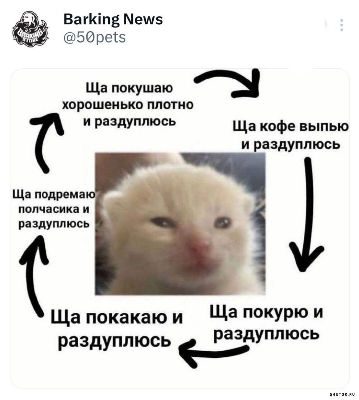 В русском языке существует множество различных выражений и словосочетаний, которые сложно понять в смысле без того, чтобы знать их значение Одним из
