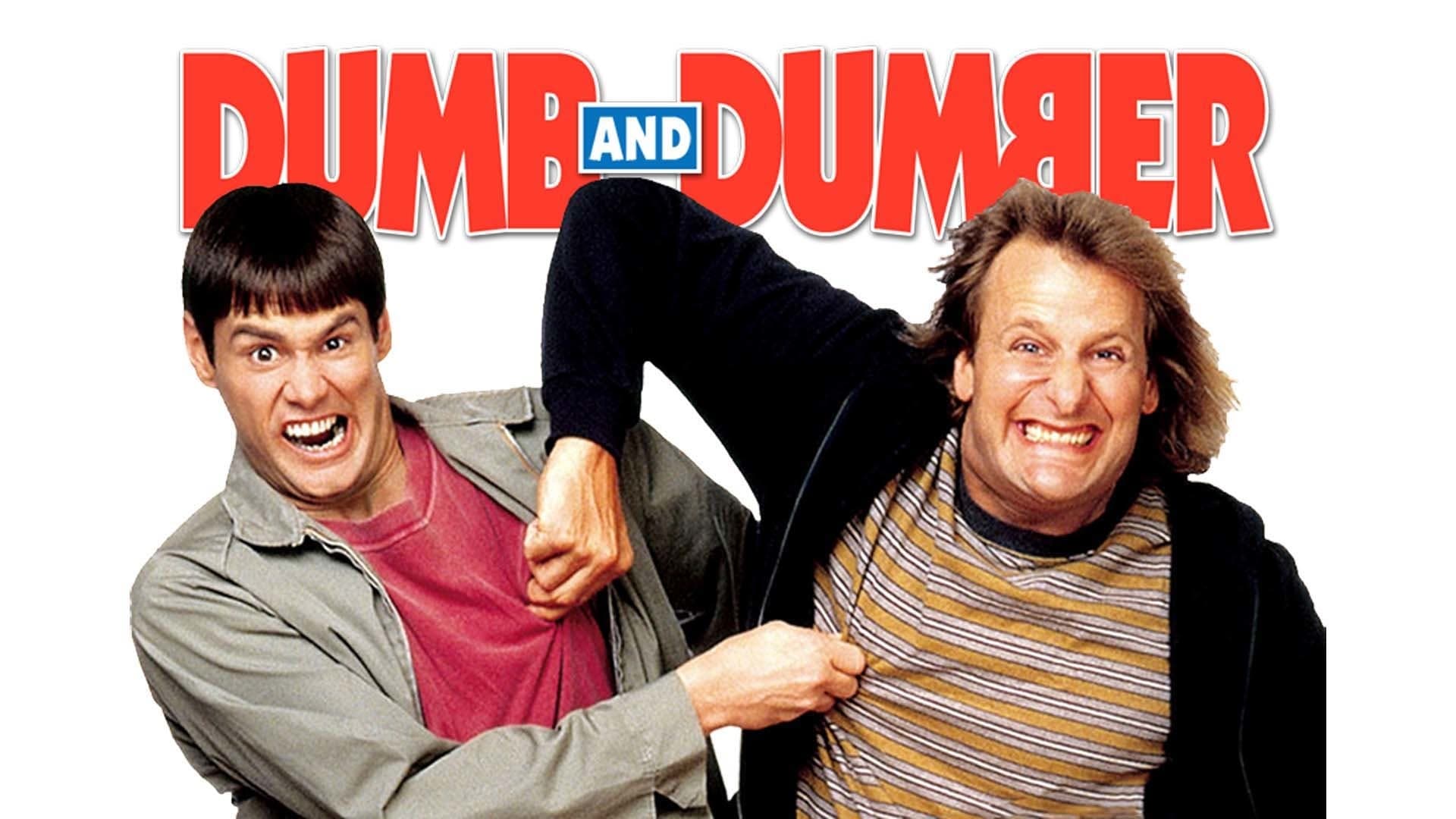 Что значит you are dumb