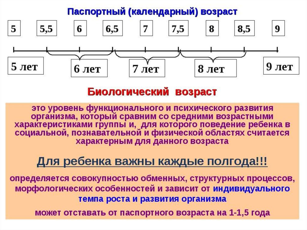 Что такое "предшествующий календарный год" и как его использовать