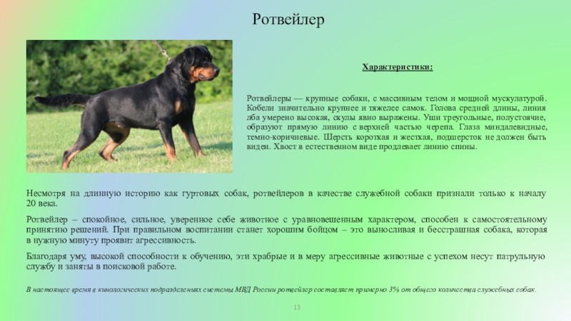 Млекопитающие рыбы - это уникальная группа животных, которые сочетают в себе признаки обоих классов: млекопитающих и рыб Они представляют собой особую