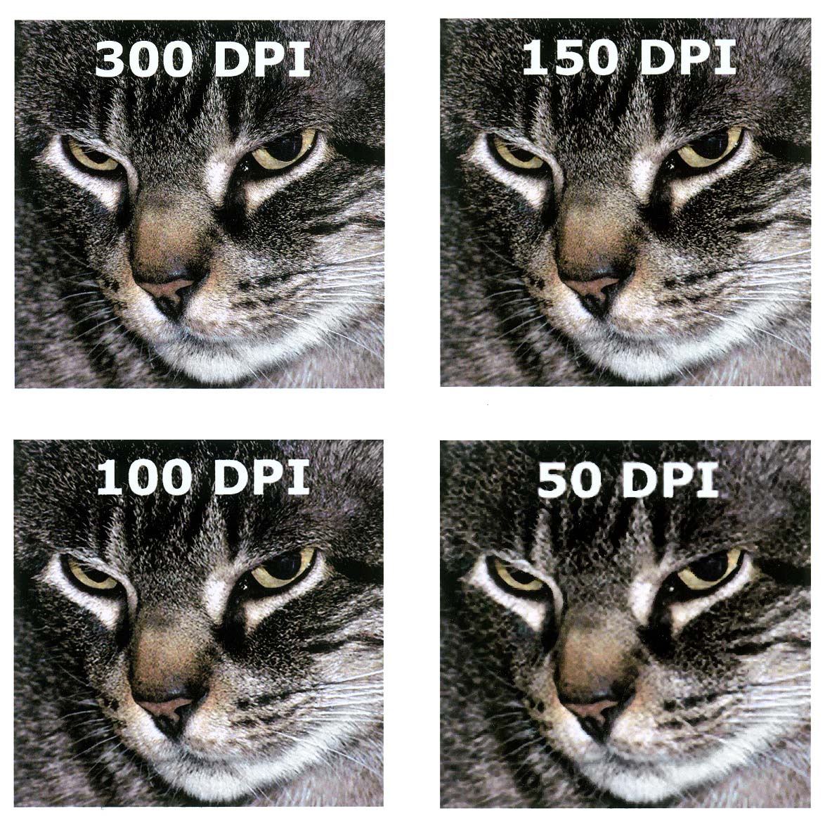 Что такое разрешение 600 dpi и почему оно важно?