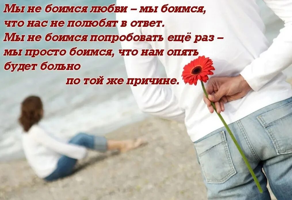 Что означает фраза "от любви не ищут любви" и почему это так важно в современных отношениях? - glavnyguru.ru