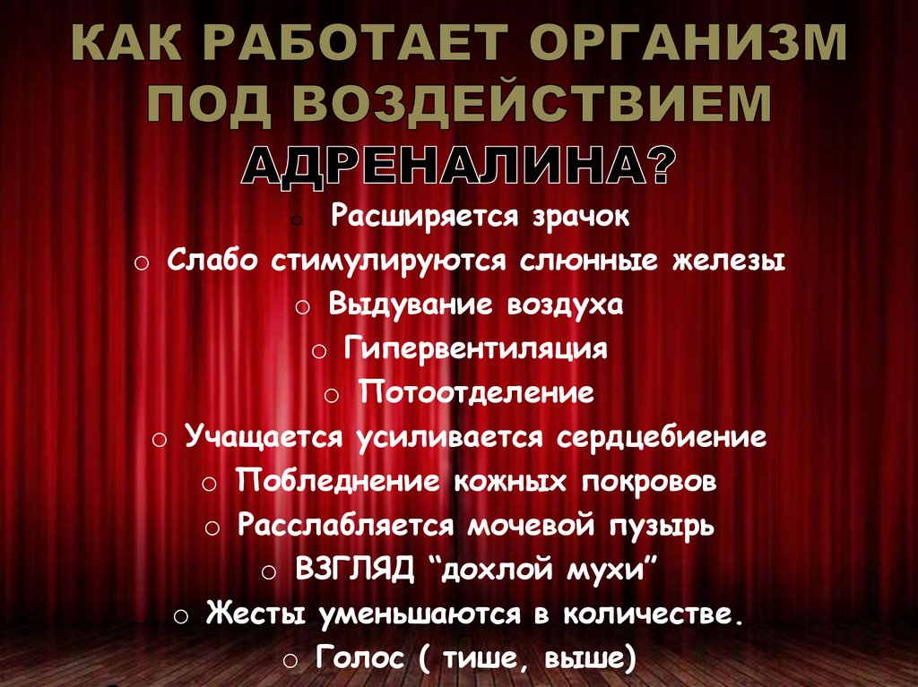 Организованный человек: определение и признаки