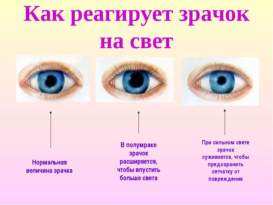 Глаза - зеркало души: психология и физиология