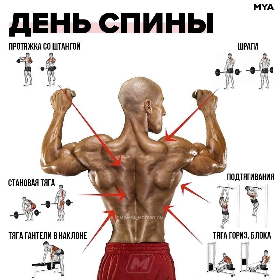 Упражнения для развития и укрепления мышц рук без гантелей