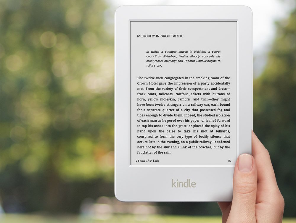 Что значит пометка книжн