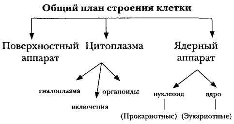 9 типы вопросов и их характеристики (с примерами)