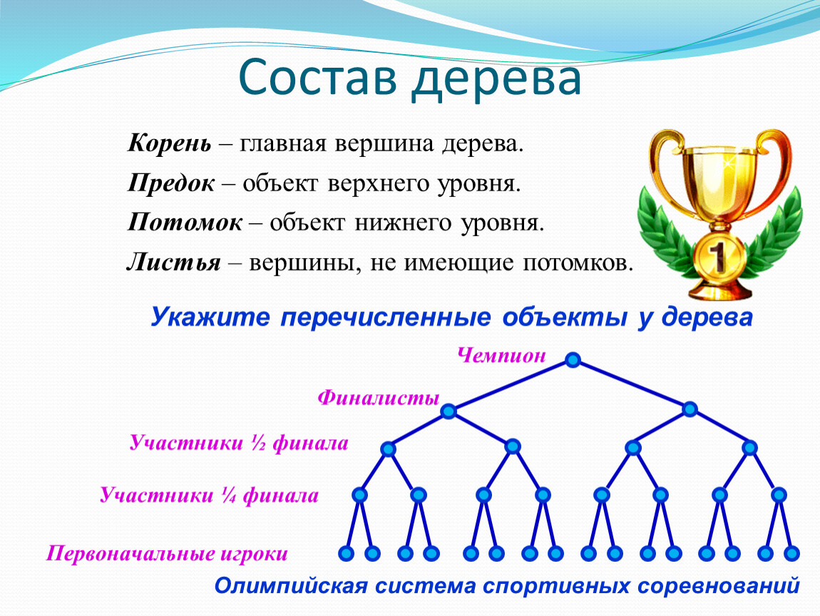Что значит предок потомок
